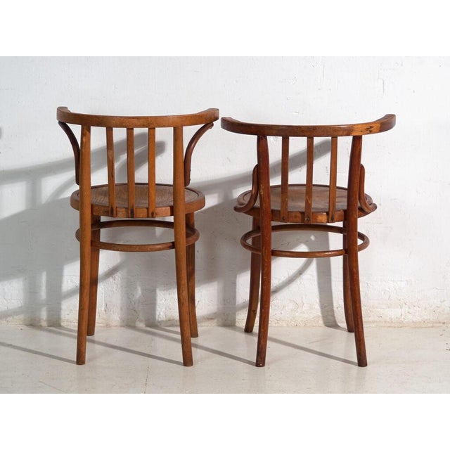 Mundus Bentwood Chairs, 1920, Set of 4 For Sale - Image 11 of 14