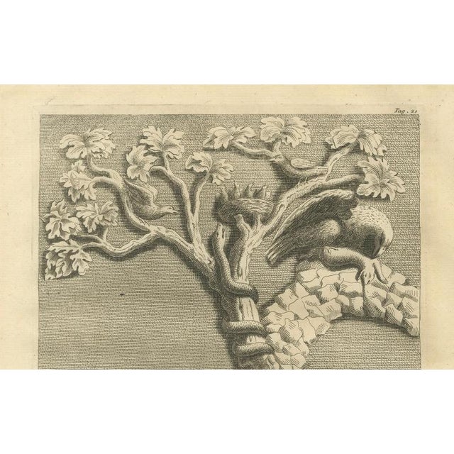 After Bernard de Montfaucon, Bellori Roman Relief with Children and Animals, 1721, Engraving For Sale - Image 4 of 10