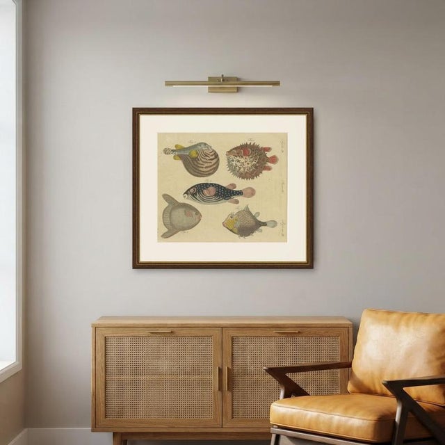 Bertuch, Pufferfish, Porcupinefish and Ocean Sunfish, 1805, Print For Sale - Image 11 of 12