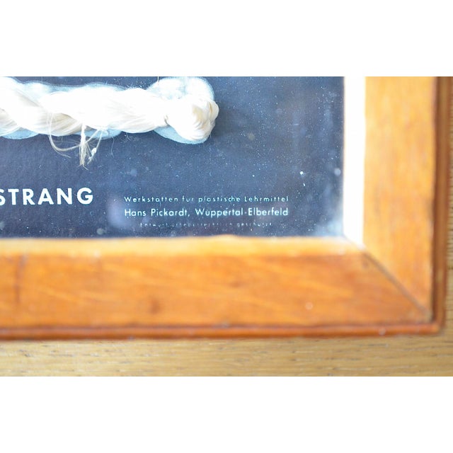 Industrial Showcase from Bemberg Textil, 1950 For Sale - Image 12 of 14