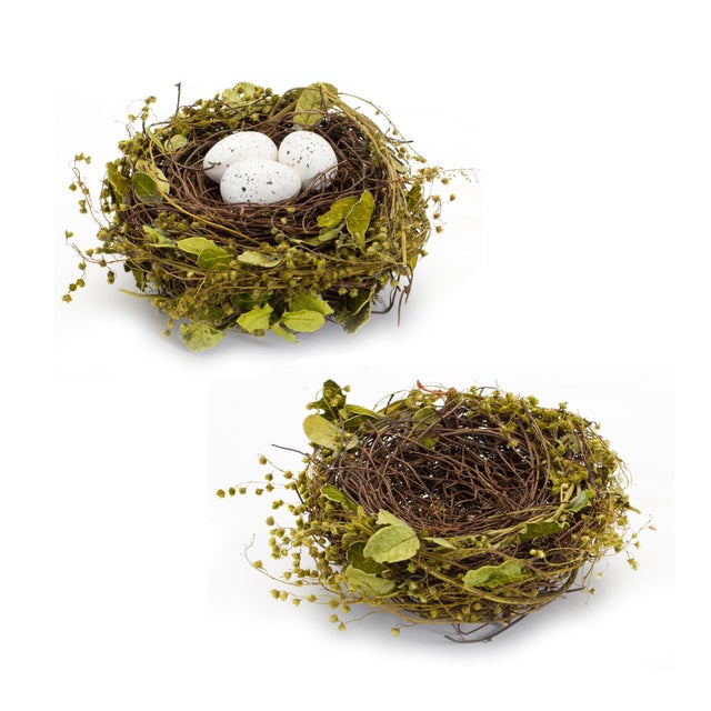 Bring the beauty of the outdoors inside with this charming set of Natural Twig Bird Nests with Speckled Eggs. Designed to...