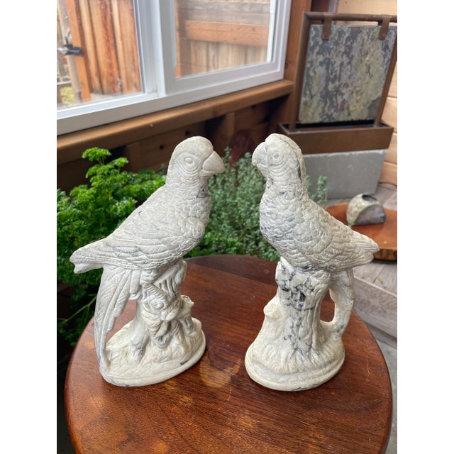 Vintage Holland Mold Cast Marble Parrots - Pair For Sale - Image 10 of 10