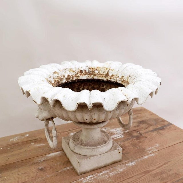 19th Century Cast Iron Basin with Lion Head Handles For Sale - Image 3 of 16