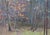 Impressionism Forest Oil Painting, Ukrainian Artist Sokolovsky, 1970s 35-50 For Sale