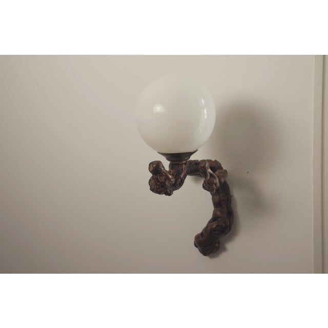 Vintage driftwood wall lamp crafted from a genuine vine root (“cep de vigne”), featuring a white milky white opal glass...