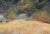 1930s 1930's California Mountain Trail Landscape by Sidney L. Brock For Sale - Image 5 of 8
