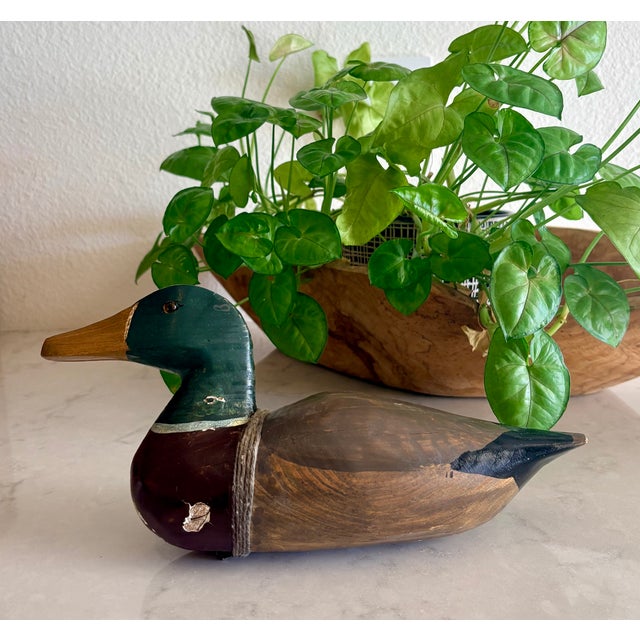 Early 20th Century Folk Art Hand Carved Wooden Mallard Duck Decoy For Sale - Image 10 of 12