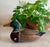 Early 20th Century Folk Art Hand Carved Wooden Mallard Duck Decoy For Sale - Image 10 of 12