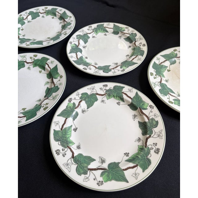 Set of 5 Napoleon Ivy Vintage Plates. Round ceramic plates with a green ivy pattern around borders Napoleon ivy is the...