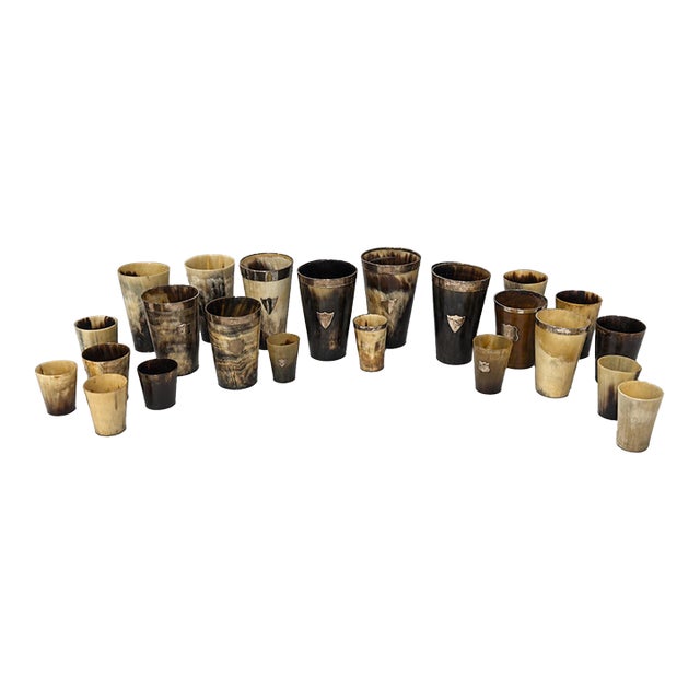 Collection of 24 Antique British Horn Beakers, Including Silver-Mounted For Sale