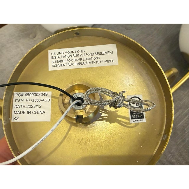 Magnolia Tillie Chandelier For Sale - Image 12 of 12
