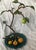 Victor Cicansky, Canadian Sculptor Signed 2005 Metal Fruit Sculptor With Nest Eggs Foliage and Whimsy. A Great Representation of His High Works. For Sale - Image 9 of 11