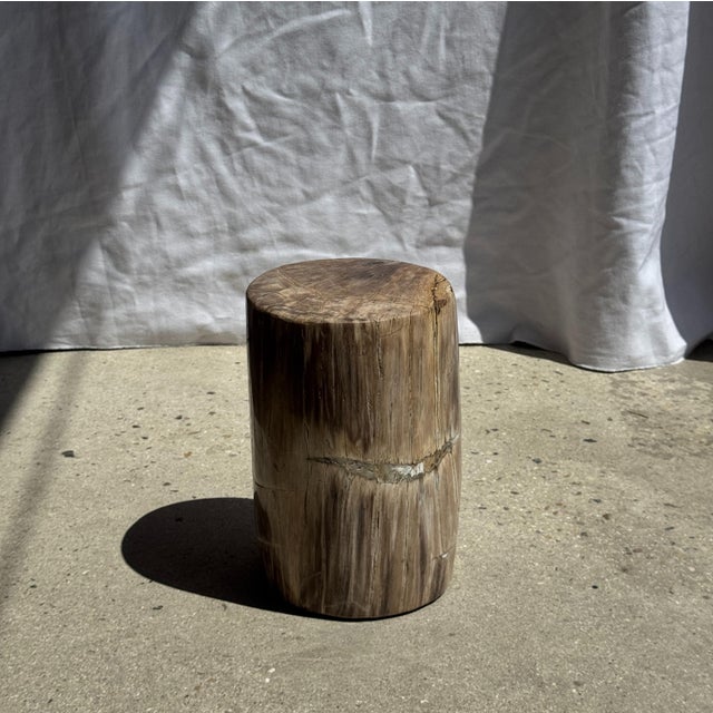 Small Side Table in Beige-Grey and Petrified Wood, 1980s For Sale - Image 10 of 18