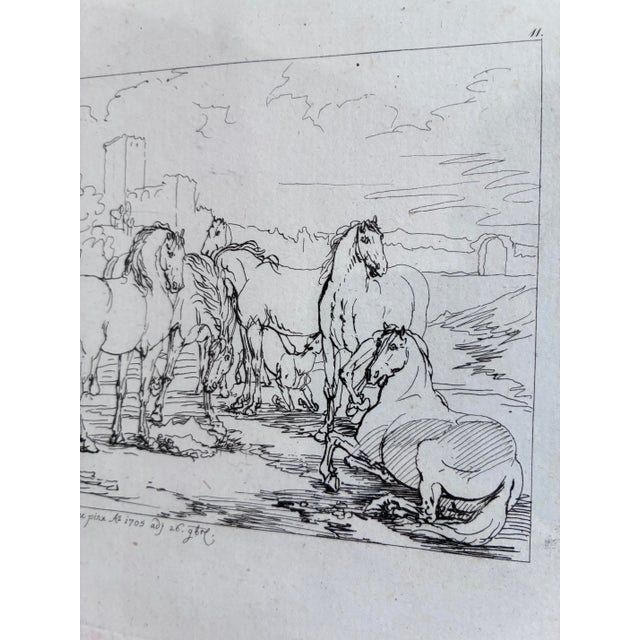 18th Century Antique Original Horse Etching, Circa 1700: Framed Equestrian Print For Sale - Image 5 of 10