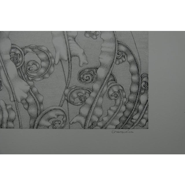 Gochka Charewicz, Horizon, Lithograph For Sale - Image 8 of 9