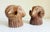 Carved Wood Rams Head Bookends by Sarreid Spain 1970s - A Pair For Sale - Image 9 of 13