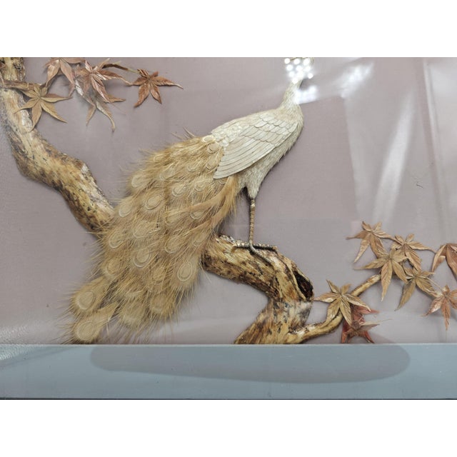 Japanese Peacock Picture in a Frame, 1950s For Sale - Image 4 of 9