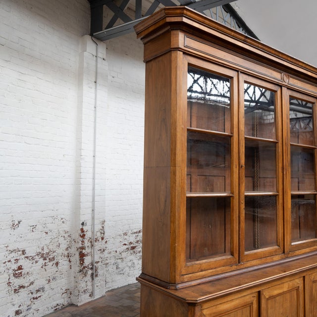Large Walnut Display Bookcase, 19th Century For Sale - Image 13 of 14