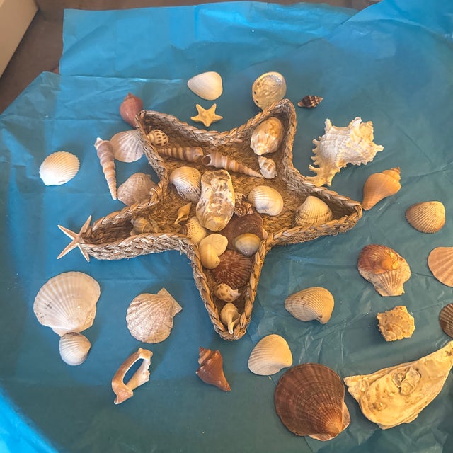 Starfish Woven Basket Filled With Seashells For Sale - Image 11 of 12