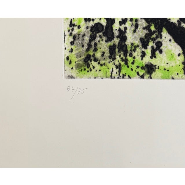 Joan Miró, Règne végétal (Plant Kingdom), 1981, Aquatint, in Flawless conditions. Designed 1980 to 1989