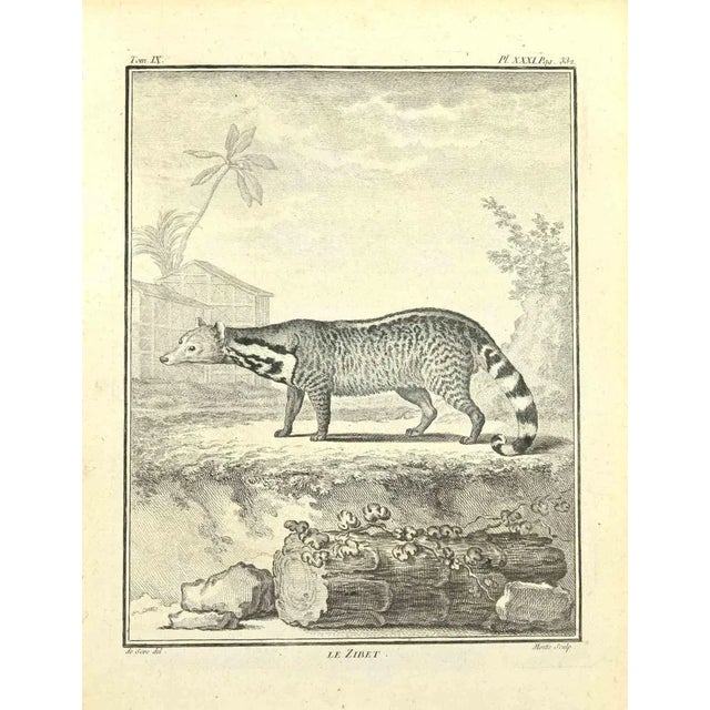 Le Zibetis an etching realized by Jean Gullaume Moitte in 1771. It belongs to the suite "Natural, general and particular...