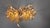 Metal Vintage Tulip Wall Lamp by Hans Kögl , 1970s For Sale - Image 7 of 12