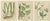 Botanical Illustrations, 1819, Paper, Set of 3 For Sale