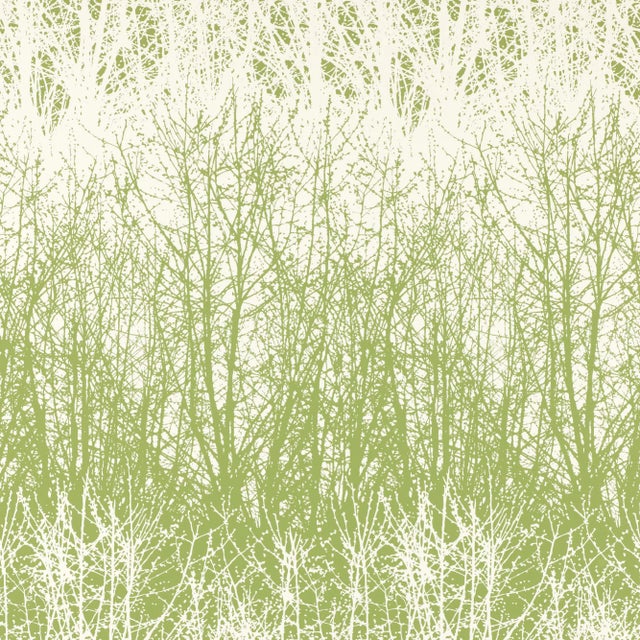 Sample - Schumacher Birches Wallpaper in Leaf White For Sale