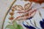 Antique Early 19th Century Coalport Thumb & Finger Imari Plate 9.5" For Sale - Image 9 of 13