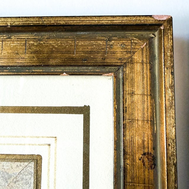 Wood Late 20th Century Pair of 1840s Reproduction Botanical Specimen Prints, Charlock Mustard & Creeping Crowfoot For Sale - Image 7 of 10