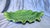 Emerald Late 20th Century 17" Portugese Cabbageware Leaf Tray Trompe l'Oeil Majolica For Sale - Image 8 of 9