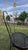 Elevate your space with this enchanting pair of authentic, vintage mid-century wrought iron bistro chairs. Featuring the...