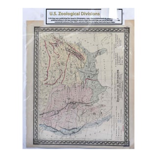 Antique o.w. Gray's 1870s Zoological Divisions Map of the United States (16" X 19") For Sale