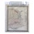 Antique o.w. Gray's 1870s Zoological Divisions Map of the United States (16" X 19") For Sale