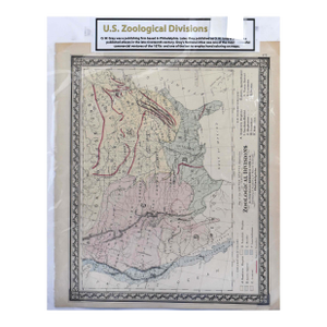 Antique o.w. Gray's 1870s Zoological Divisions Map of the United States (16" X 19")