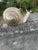 Metal Vintage Mid-Century Modern Silver Brass Snail Figurine – Large Heavy Metal Snail Paperweight Sculpture, Hollywood Regency Table Decor For Sale - Image 7 of 12