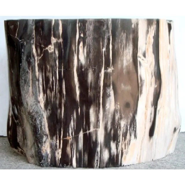 Petrified Rosewood - Amazing bookend of a pair. The pair could make THE most fantastic large scale coffee table with glass...