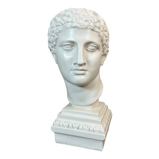 Plaster Bust of Apollo, 1950s For Sale