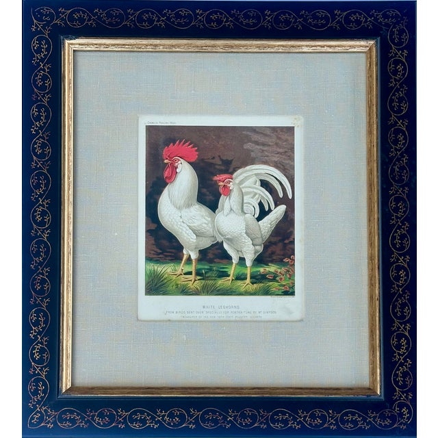 Victorian White Leghorn Chicken & Black Polish, Framed Pair by Cassell, 1890 For Sale - Image 3 of 8