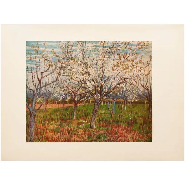 A lovely vintage full-color print of Impressionist oil painting "The Orchard" (March 1888, Arles) by Vincent Van Gogh....
