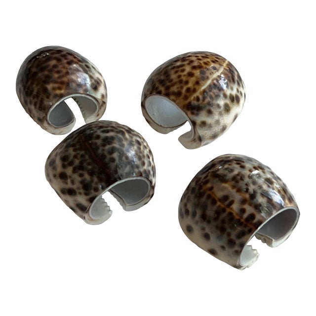 Tiger Cowrie Seashell Napkin Rings For Sale