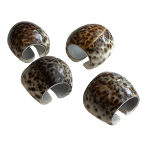 Tiger Cowrie Seashell Napkin Rings
