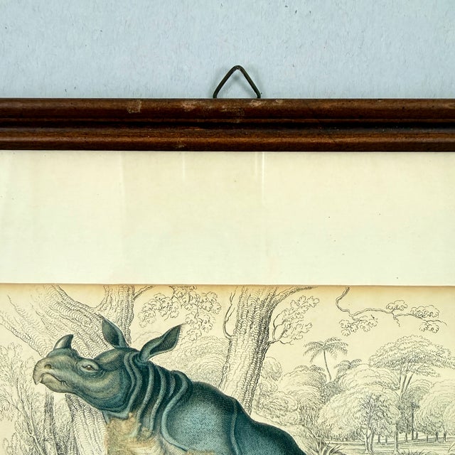 James Stewart Indian Rhinoceros Hand Colored Copper Engraving, Framed – 1836 For Sale - Image 10 of 11