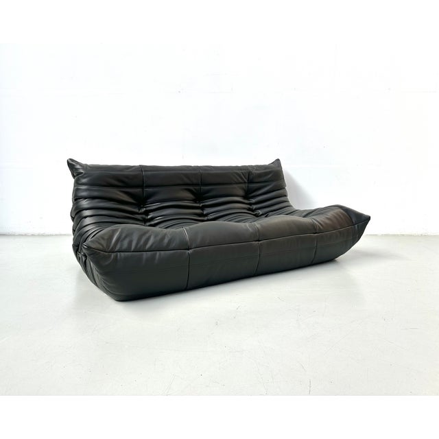 Animal Skin French Togo Sofa in Thick Black Cow Leather attributed to Michel Ducaroy for Ligne Roset, 1970s For Sale - Image 7 of 13
