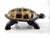 Vintage Mid Century Gilt-Finish Tortoise Sculpture, Hollywood Regency Style Decorative Object For Sale - Image 9 of 15
