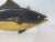 Wood Carved and Painted Tuna Fish Carving For Sale - Image 7 of 10
