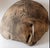 Ceramic Large Sculptural Studio Pottery Bowl, Provenance Eve Paige Spencer Collection. For Sale - Image 7 of 8