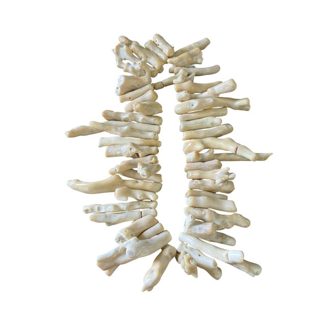 Shell Vintage Natural African White Coral Trade Beads /Currency /Necklace 49 Pieces For Sale - Image 7 of 12
