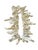 Shell Vintage Natural African White Coral Trade Beads /Currency /Necklace 49 Pieces For Sale - Image 7 of 12