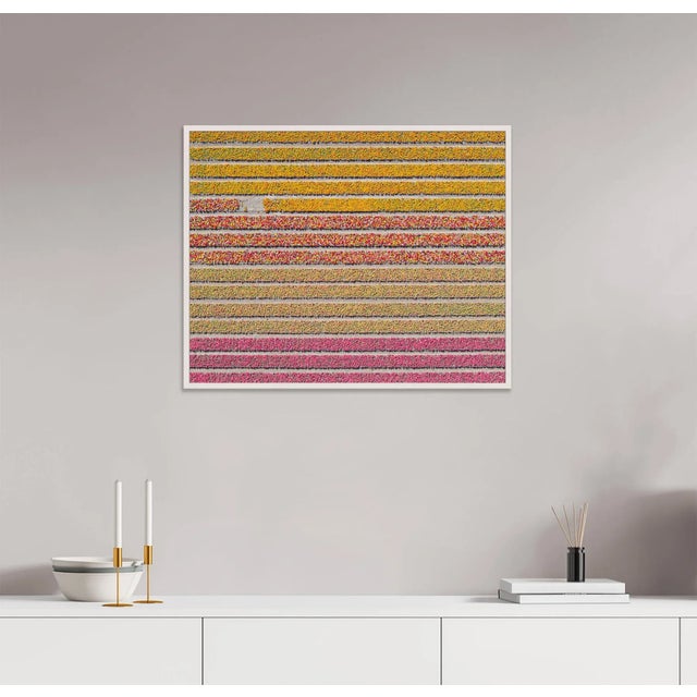 Edition Aerial Views Bernhard Lang Image: AV_Tulip_Fileds_016 Size C: 29,5 x 23,6 inches, 75 x 60 cm Captured in 2016 in...